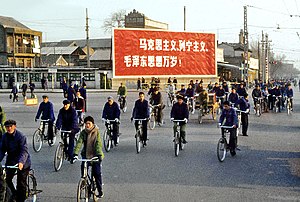 Maoísmo: Definición, Historia, El maoísmo en el mundo