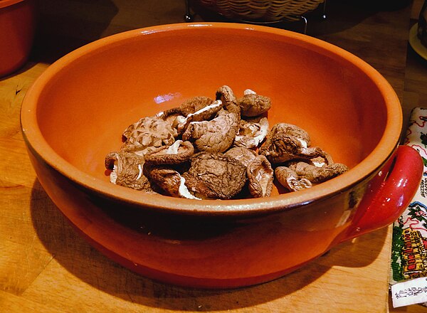 Contemporary terracotta casserole dish