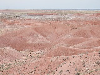 <span class="mw-page-title-main">Petrified Forest Member</span> Lithostratigraphic layer of the Chinle formation