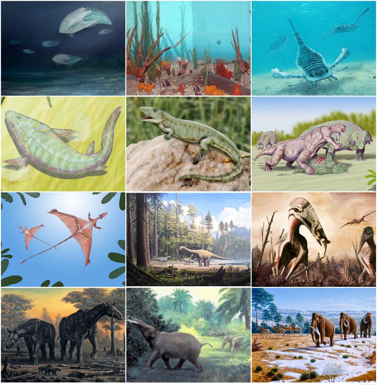 paleozoic era earths surface