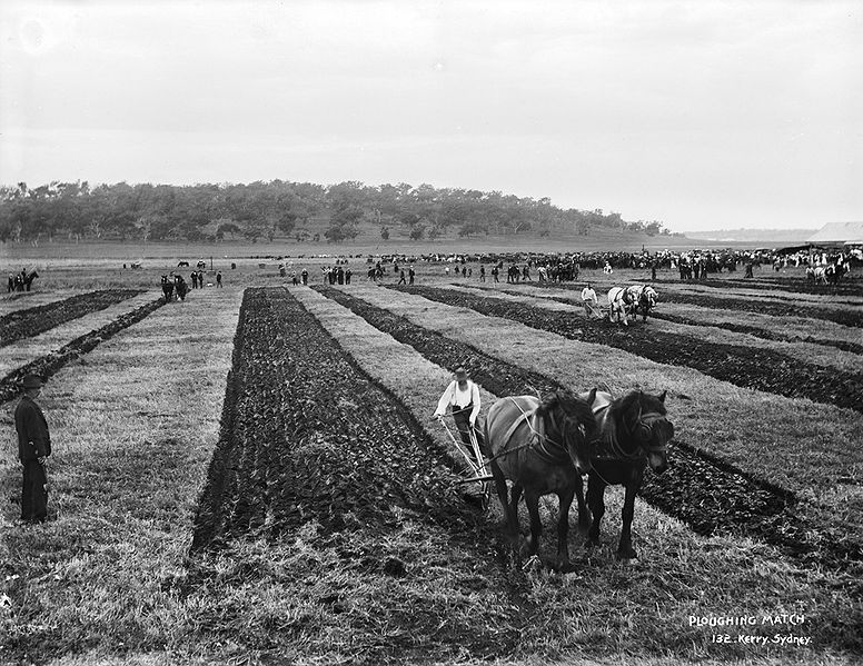 File:Ploughing match from The Powerhouse Museum Collection.jpg