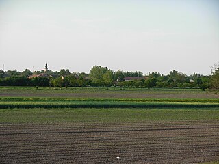 Begeč Suburban settlement in South Bačka, Vojvodina, Serbia