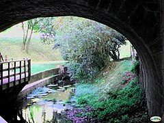 Puente Bolera