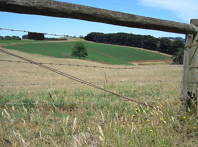 Potato farming in the Thorpdale region