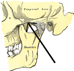 temporal bone definition