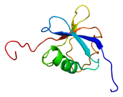 Ақуыз TBCB PDB 1v6e.png