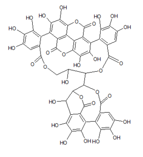 Punicacortein D Chemical compound