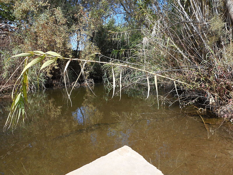 File:Quarteira river ford, Paderne, 2 October 2015 (5).JPG