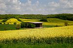 Vignette pour Plateau de Querfurt