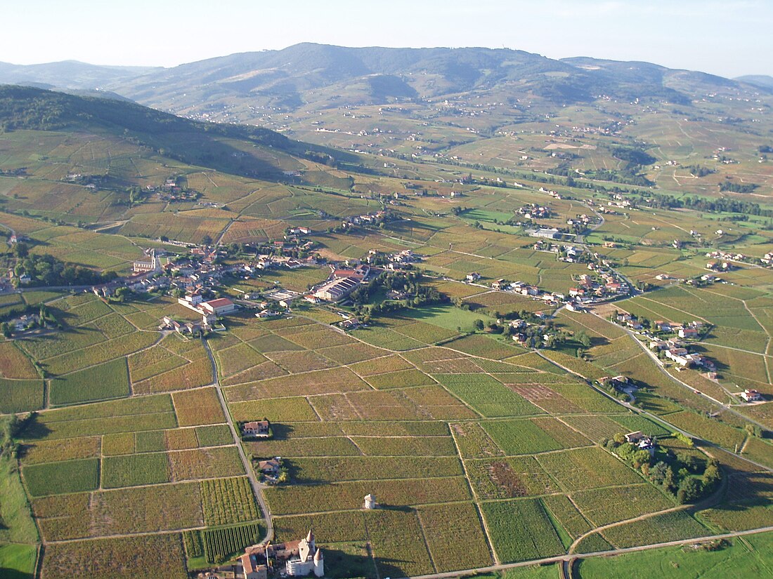 Quincié-en-Beaujolais