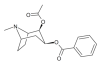 ساختار REC.png