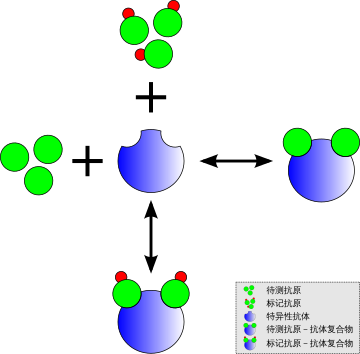 放射免疫分析