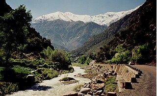 <span class="mw-page-title-main">Ourika River</span> River