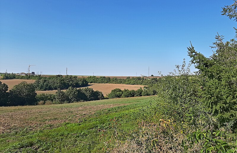 File:Radotínsko-Chuchelský háj nature park, middle part, Praha.jpg