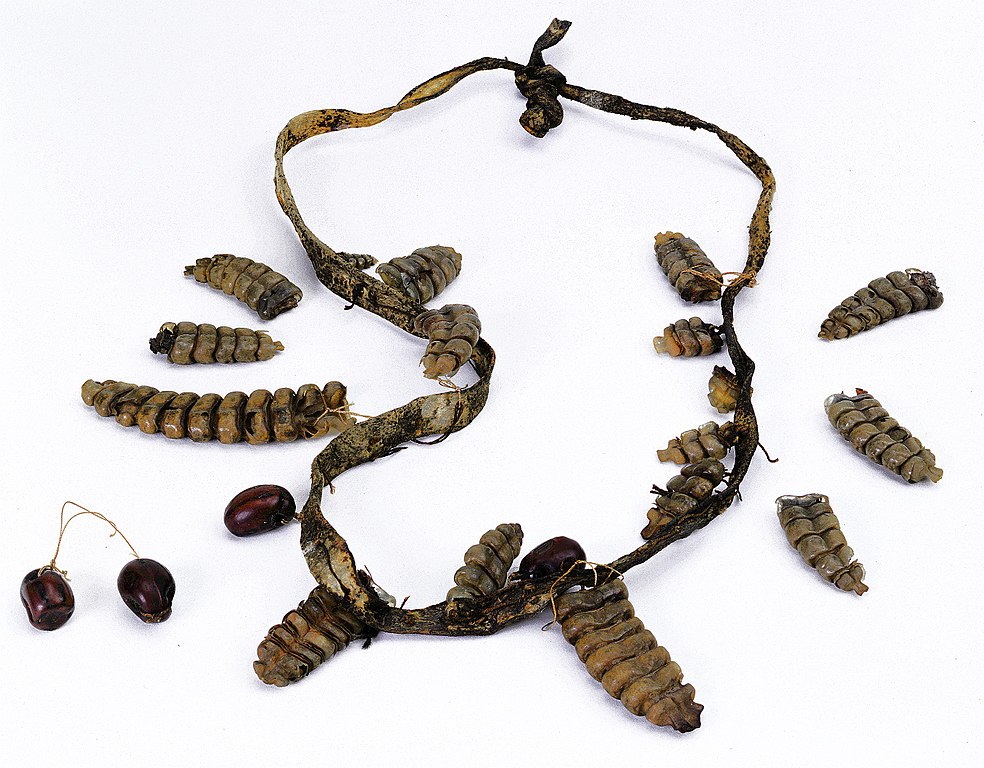 984px Rattlesnake rattle and seed necklace