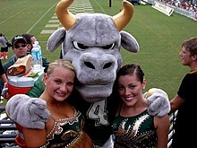 Rocky the Bull with some USF cheerleaders Rocky the Bull-University of South Florida.jpg