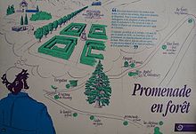 Paseo de los Roquedols en el bosque (2) .jpg