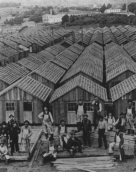 File:Row of shacks, 1906 earthquake in San Francisco.jpg