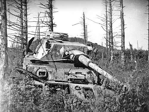 Немецкие танки после. Рубеж Танненберг 1944. Бои Синимяэ 1944. Линия Танненберг 1944. Битва за Нарву 1944.