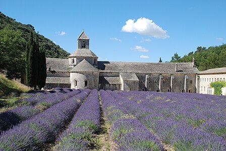 Sénanque Abbey (founded 1148) is an example of Romanesque architecture of Provence [fr]