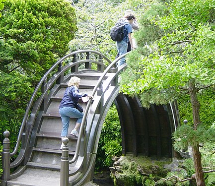 גשר סהר מעץ ב"גן התה היפני" בפארק גולדן גייט שבסן פרנסיסקו, קליפורניה