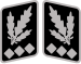 SS-Oberst-Gruppenführer collar.svg