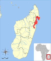 Salanoia concolor range map.svg