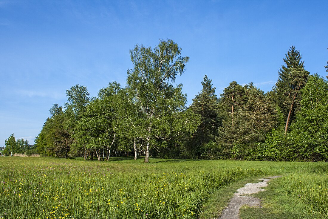 File:Samer Mösl Wanderweg.JPG