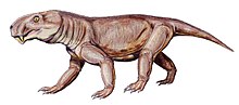 Miniatura per Sauroctonus