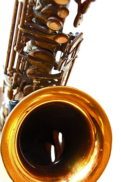 File:Sax (cc) (9479163572).jpg