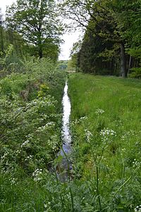 Schleswig-Holstein, Rosdorf, Landschaftschutzgebiet Waldfläche Wulfshorst NIK 6416.jpg