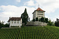 Schloss Heidegg