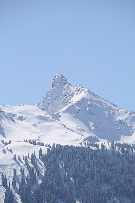 Schwarzhorn2460m