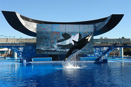 Sea world. SEAWORLD парк Лос-Анджелес. Тематический парк морской мир в Сан-Диего США. Сиа ворлд Орландо. Океанариум в Сан Диего.