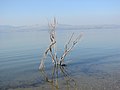 A view to the Sea of Galilee