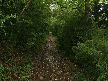 Sentier colline de Planoise.JPG