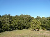 ]] (Vallès Occidental, Bages, Vallès Oriental) (Mura, Sant Llorenç Savall, Matadepera i altres). This is a a photo of a natural area in Catalonia, Spain, with id: ES510002 Object location 41° 40′ 12″ N, 1° 59′ 24″ E  View all coordinates using: OpenStreetMap