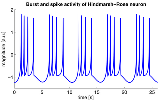 <span class="mw-page-title-main">Hindmarsh–Rose model</span> Of the spiking-bursting behavior of a neuron