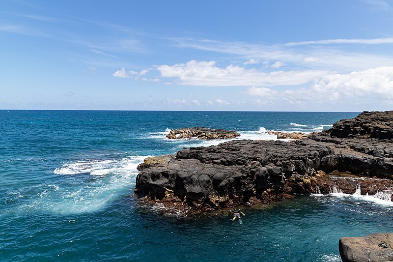 File:Snorkeling Queen's Bath Princeville Kauai, Hawaii (45364617455).jpg