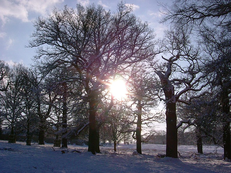 File:Snow walk - panoramio.jpg