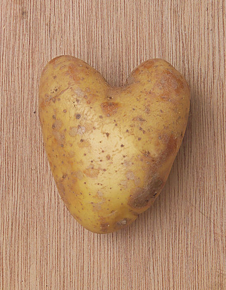 Solanum tuberosum 'Nicola', aardappel.jpg