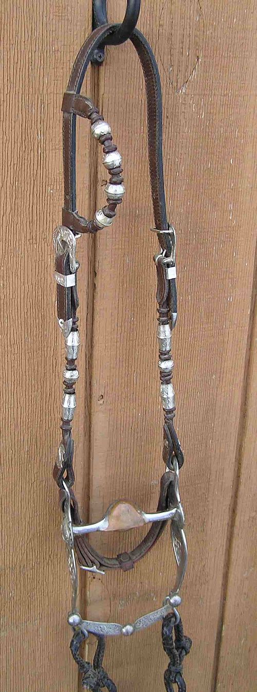 A western show bridle with silver ornamentation on headstall and bit.