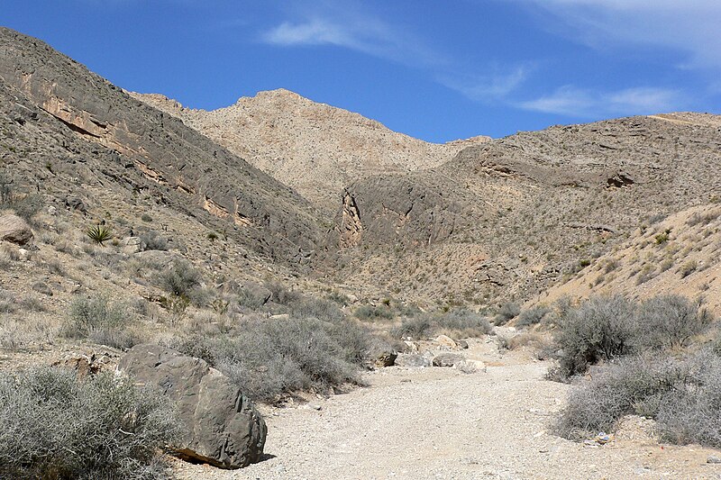 File:Spring Mountains unnamed canyon 1.jpg