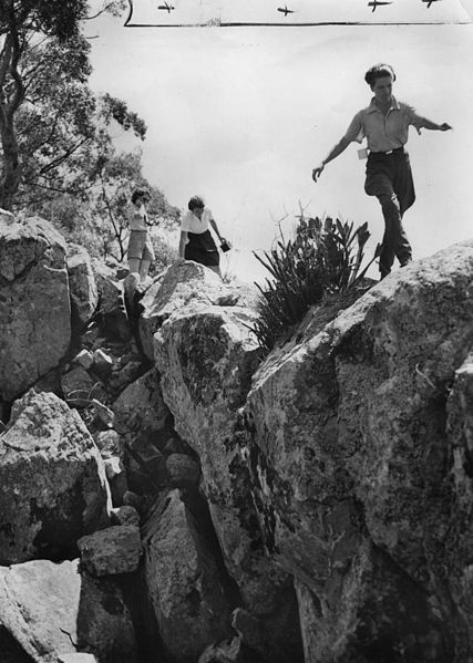 File:StateLibQld 1 124252 Bushwalkers at Mellinsford Pass, Queensland National Park, 1938.jpg