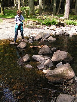 Stepping stones, Stanley Ghyll - geograph.org.uk - 455443