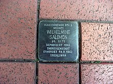 Stolperstein Wilhelmine Salomon Crossing Rochusstraße 262, Am Schickshof Bonn.JPG