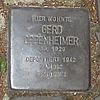 Stolperstein für Gerd Oppenheimer