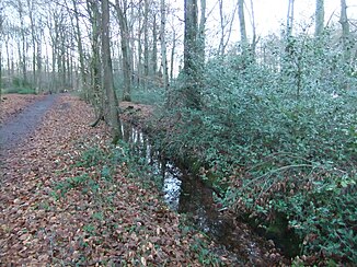 Sunderbach in the south of Bielefeld.