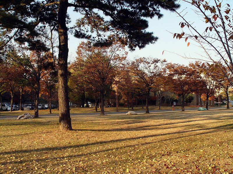 File:Sungkyunkwan University Suwon Student Union from Medical Building.JPG