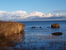 Eismada dengiz qirg'og'i